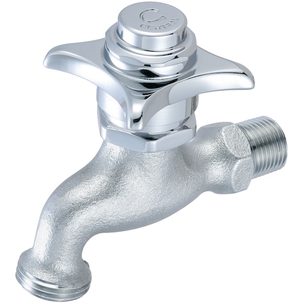 Self-Close Wallmount Faucet in Rough Chrome